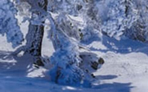 24����Сѩ���Խ̰�