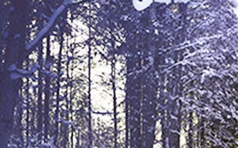 关于小班小雪节气教案