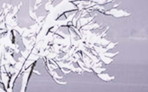 ���Сѩ�̰�(ͨ��15ƪ)