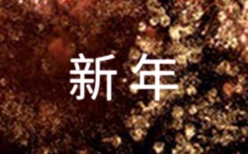 过新年作文600字3篇(优选)