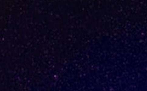 ���ǿա��ۺ��