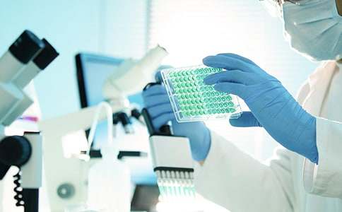 课题研究工作方案