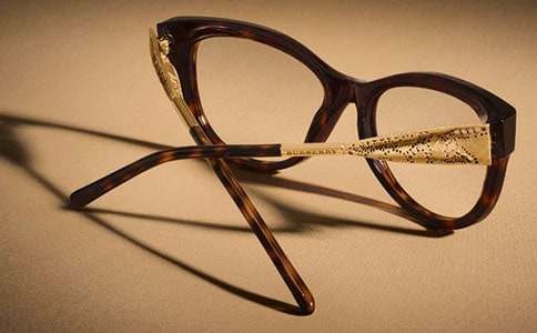 未来的眼镜小学想象作文