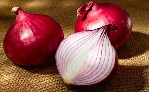 洋葱头历险记读后感(15篇)