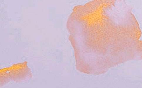 ����ѡ������������300��3ƪ