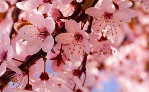 [����]�����ӣ������