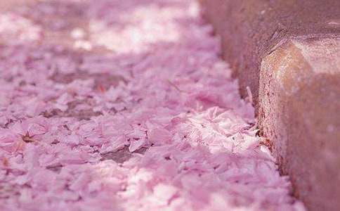 ӣ��������600��(�Ƽ�)