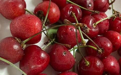 �⹫�ǿ�ӣ��������У�ͨ��28ƪ��