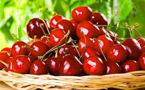 我的植物朋友樱桃树作文