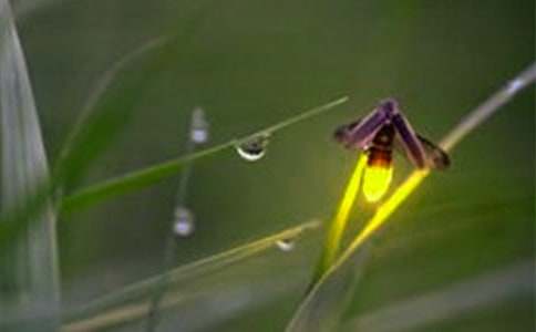 ��ө���֮Ĺ���ۺ�м���15ƪ