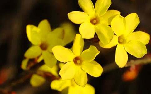 �����ӭ�������ģ���ѡ31ƪ��