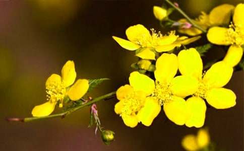 �й�ӭ�����۲��ռ�4ƪ