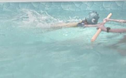 ��һ����Ӿ���ġ��Ƽ���