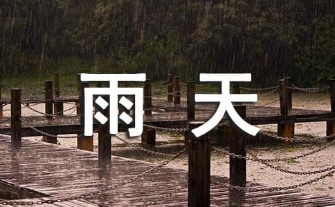 实用的雨天的作文600字