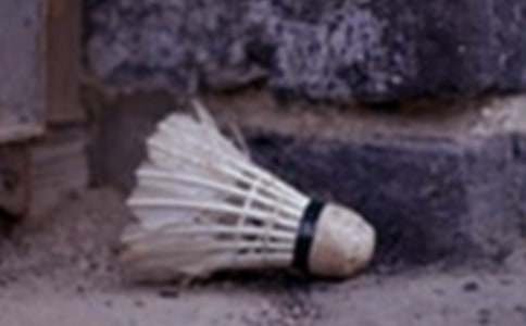 ��ë�������ܽ�