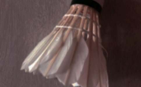 打羽毛球的日记范文集锦9篇