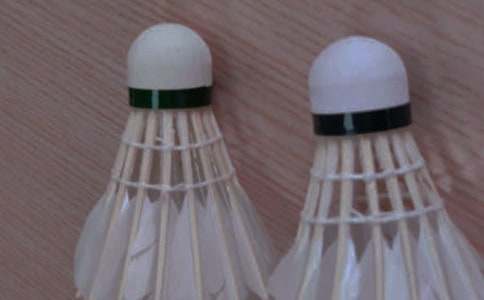 第一次打羽毛球作文