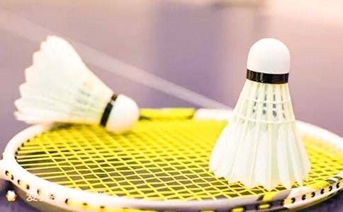 打羽毛球的日记范文集锦八篇