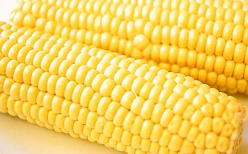 ����Ʈ������