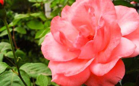 �۲��ռ��¼������꼶����