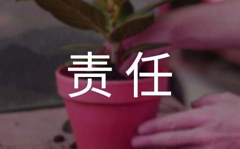 责任与担当高中作文