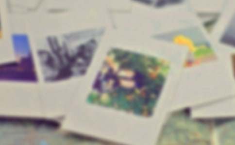 照片的记忆作文300字五篇