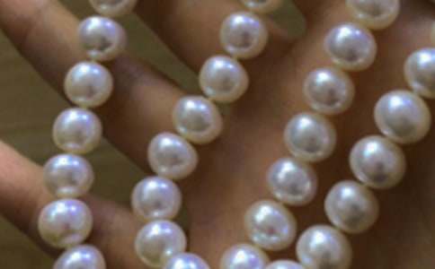 ����������Ȫ����