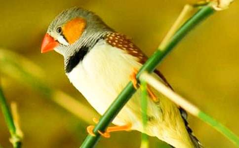 �������񡷶����(����15ƪ)