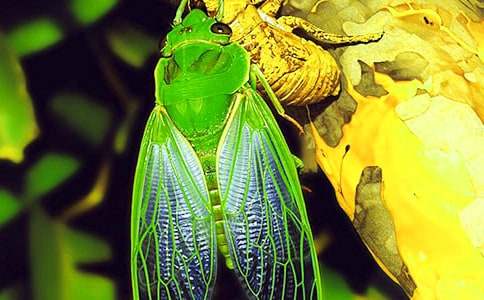 ����֪�˵�����300�֣���ѡ55ƪ��