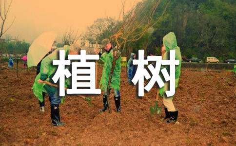 二年级看图写话植树作文