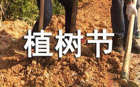 ���꼶ֲ��������15ƪ