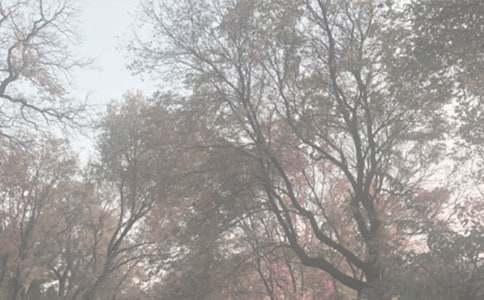 ����ֲ��԰����15ƪ