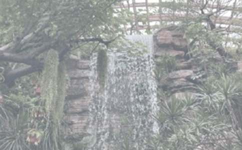 ����ֲ��԰����