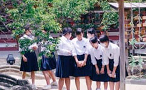 ������ѧ���ܼ�ģ�����5ƪ