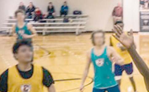 ��ѧ�������ѧϰ�ƻ�ģ�弯��5ƪ