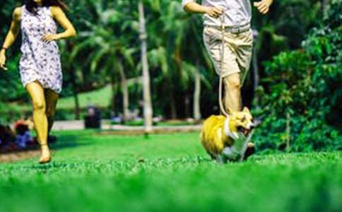 ���ֵ���ĩ����ͨ��15ƪ