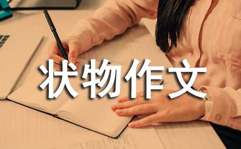 【推荐】状物作文300字合集十篇