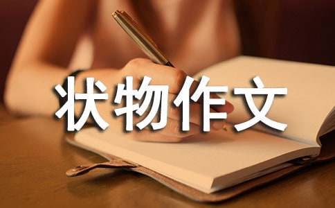 【精品】状物作文300字锦集五篇