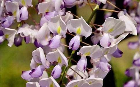 ����ѡ�����ٻ�����300��3ƪ