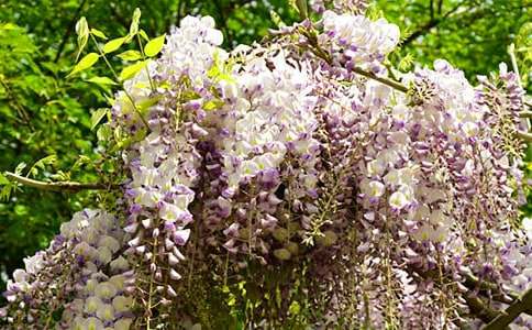 ��ѡ���ٻ�������300��9ƪ