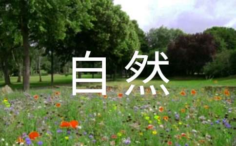 �йش���Ȼ����300��4ƪ