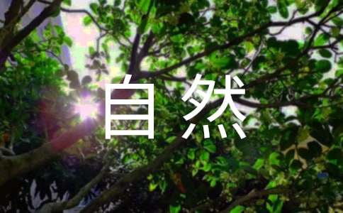 ����д��Ȼ���۵�����4ƪ