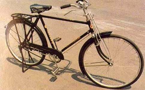 学骑自行车-三年级作文