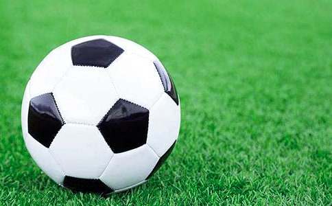 ����ۺ��(15ƪ)