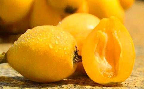 ���������Ľ���