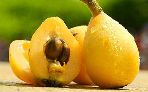 枇杷树作文(必备8篇)