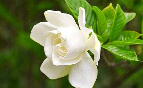 �����������ӻ�����500��4ƪ