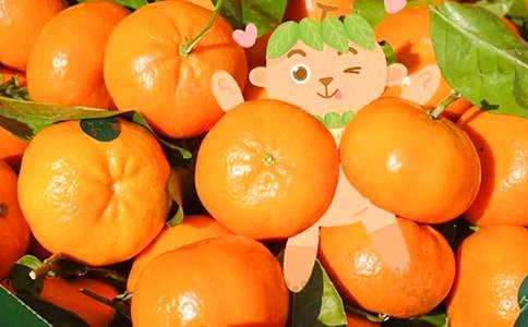 ��������˵�������Ļ��ܰ�ƪ