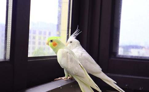 ���ĵ�����600��