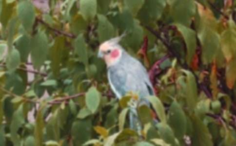 �ҵĶ���������������